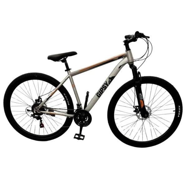 Bicicleta R29 MTB DANACER Acero GIPSY