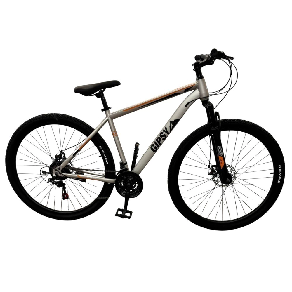 Bicicleta R29 MTB DANACER Acero GIPSY
