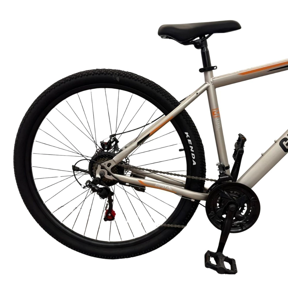 Bicicleta R29 MTB DANACER Acero GIPSY - Imagen 2