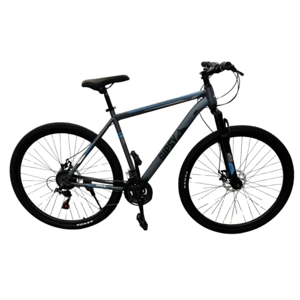 Bicicleta R29 MTB XIMAX Aluminio GIPSY
