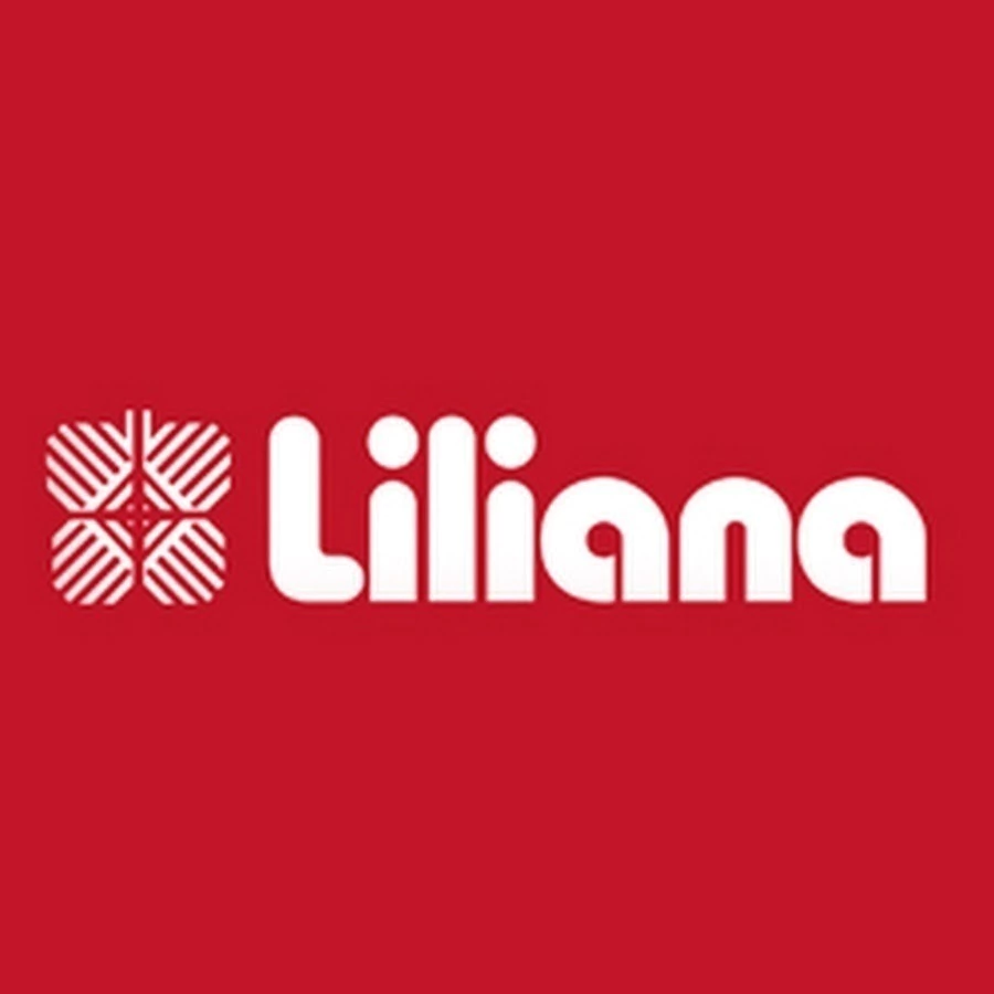Ventilador de Pie 20" VP20POW 150W LILIANA - Imagen 2