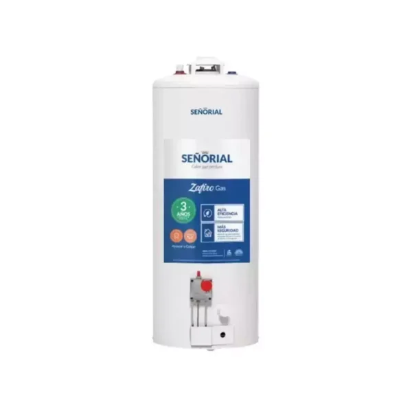 Termotanque Multigas 85 Litros Conexión Superior SEÑORIAL