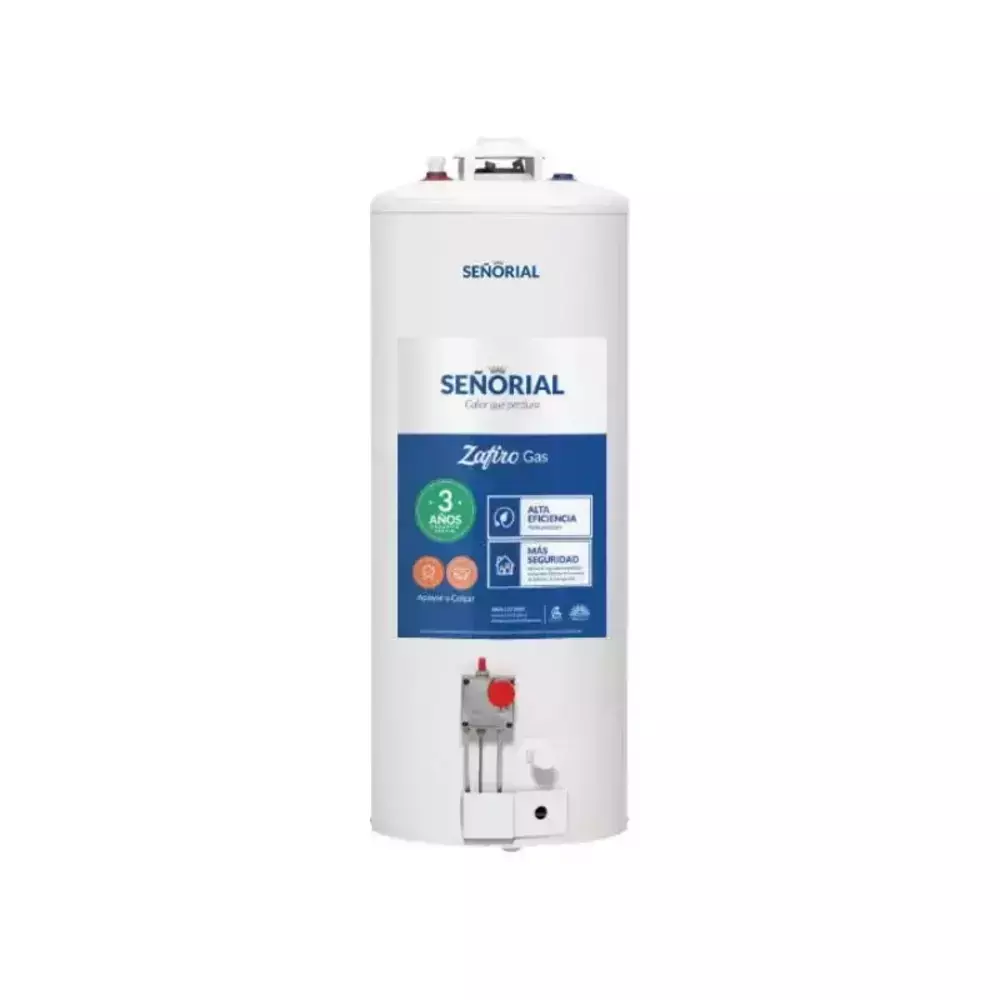 Termotanque Multigas 85 Litros Conexión Superior SEÑORIAL